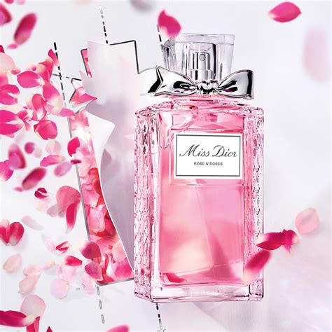 dior roses n roses 100ml|roses n roses dior perfume.